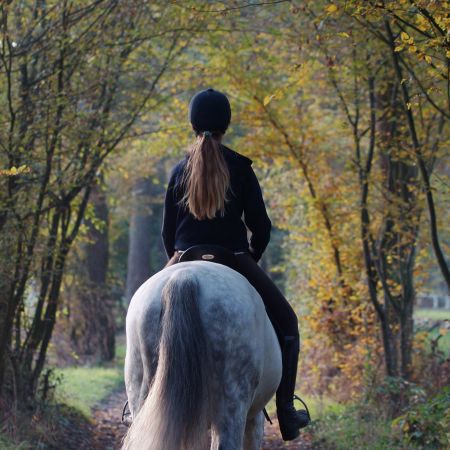 Walking Dogs Safely Around Horses: Essential Tips for a Peaceful Encounter