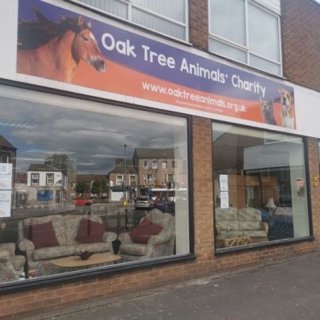 Oak tree best sale animal rescue