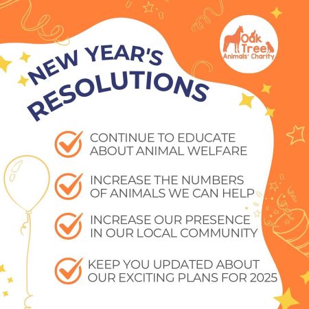 Our New Years Resolutions at Oak Tree