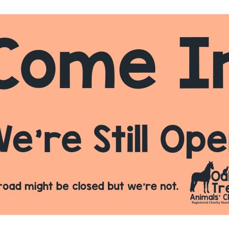 The road might be closed but we're still open